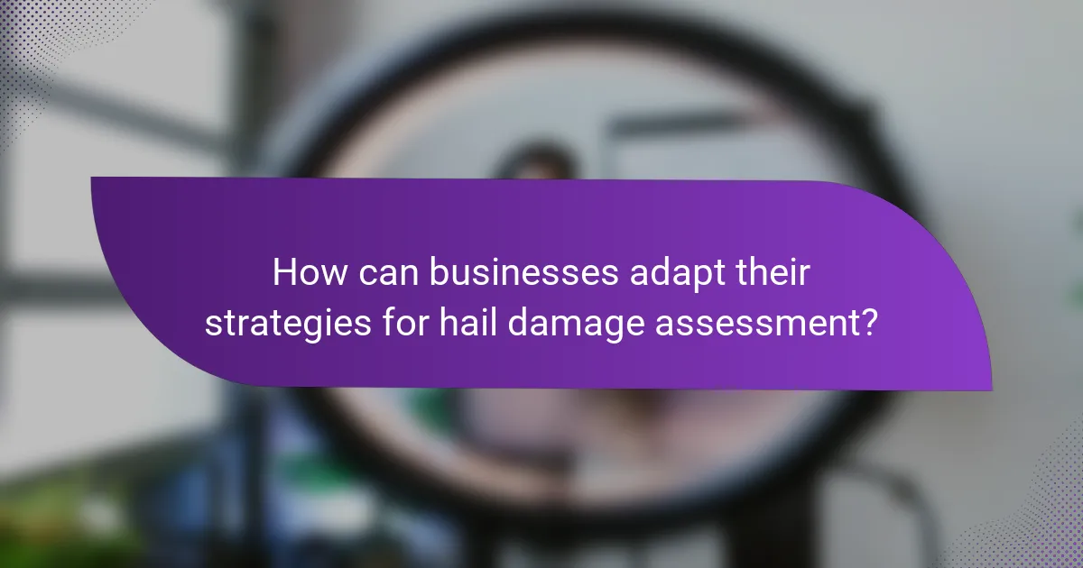 How can businesses adapt their strategies for hail damage assessment?