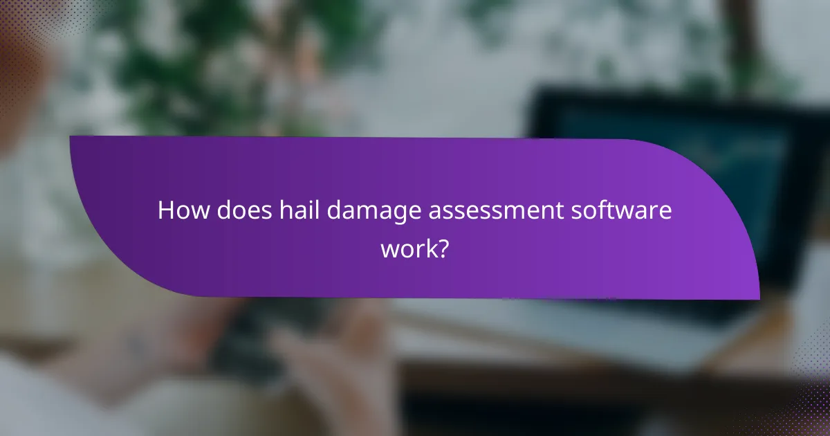 How does hail damage assessment software work?