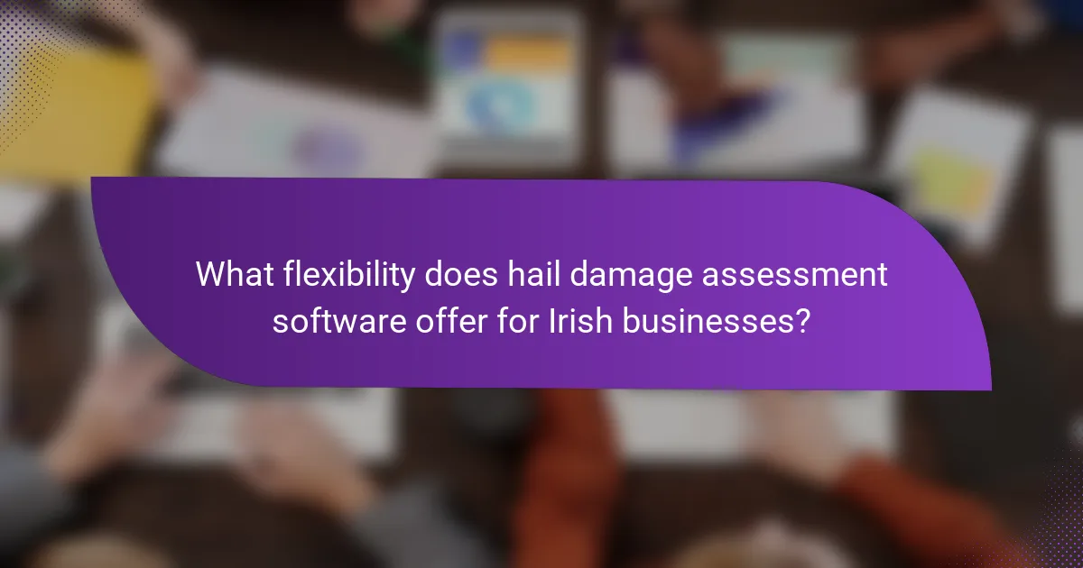 What flexibility does hail damage assessment software offer for Irish businesses?