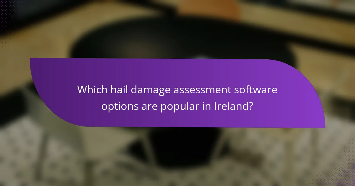 Which hail damage assessment software options are popular in Ireland?